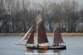 Anna 060415-02.jpg