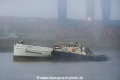 Elbe 231019-01.jpg