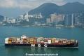 MSC Lily HK-190117-2.jpg