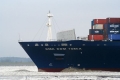 CMA CGM Tosca Bug-Winter SW-310106.jpg