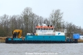 Coastal Crown (OK-260124-0).jpg