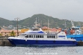 Caribe Surf 130410-2.jpg