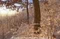 Winterimpression 9103-15.jpg