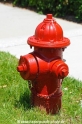 Hydrant-Florida-USA 120409-04.jpg