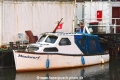 Maulwurf 240215.jpg