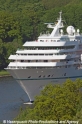 Amadea Details Bug 25506-MS.jpg