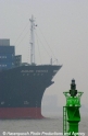 Bug Hanjin Vienna und Tonne.jpg