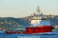 Active King (OK-080707-0).jpg