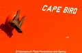 Cape Bird Anker+Name 51103.jpg