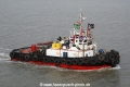 Al Shemaa HK-111211.jpg