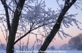 Winterimpression 9103-03.jpg