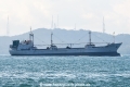 Asian Marine Reefer OS-091019-02.jpg