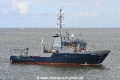 Fortuna Kingfisher JG-310820-01.jpg