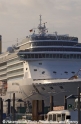 Costa Mediterranea Detail 26503-4.jpg
