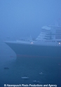 Queen Mary 2 Bug 19704-1.jpg