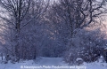 Winterimpression 9103-05.jpg