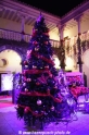 Palma-Weihnacht Pueblo Espanol 41217-27.jpg