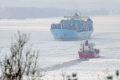 Elbe-Eisgang-Winter 30110-01.jpg