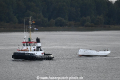 Elbe 071020-01.jpg