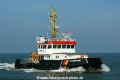 Baumroenne (OK-051010-1).jpg