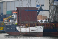 Elbe Verladung 231019-03.jpg