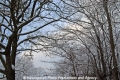 Winterimpression-Natur CS-30110-07.jpg