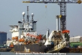 Lorelay (JS-020911-01).jpg