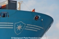 Crew-Bug 16907.jpg
