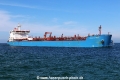 Advantage Point TL-300422-4.jpg