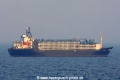 Al Iman 260406-1.jpg