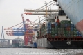 Eurogate-HH 274082.jpg