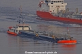 Albatros (030603-a).jpg