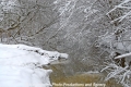 Winterimpression-Natur CS-30110-03.jpg