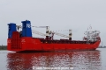 Adler (OK-240220-4).jpg
