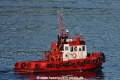 Beagle 150506-3.jpg