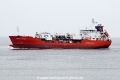 Coral Patula JG-240717-01.jpg