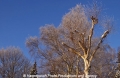 Winterimpression HH 9103-1.jpg