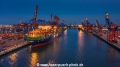 Waltershofer Hafen-Terminals KKi-020920.jpg