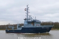 Fortuna Kingfisher (MB-050121-6).jpg