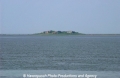 Hallig 11502-1.jpg