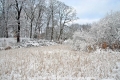 Winterimpression-Natur CS-30110-04.jpg