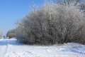 Winter am NOK OK-150210-02.jpg
