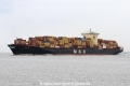 MSC Aby JG-230424-3.jpg