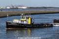 Catharina 7 (JS-080914-01).jpg