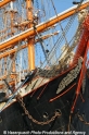 Sedov Bug 9508-2.jpg