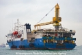Beta (MM-210212-1).jpg