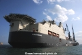 Castorone OS-160115-04.jpg