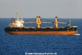 Adavega (LW-280923-01).jpg