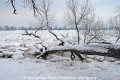 Winter-Elbe-HH CS-30110-06.jpg