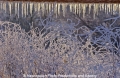 Winterimpression 10103-2.jpg